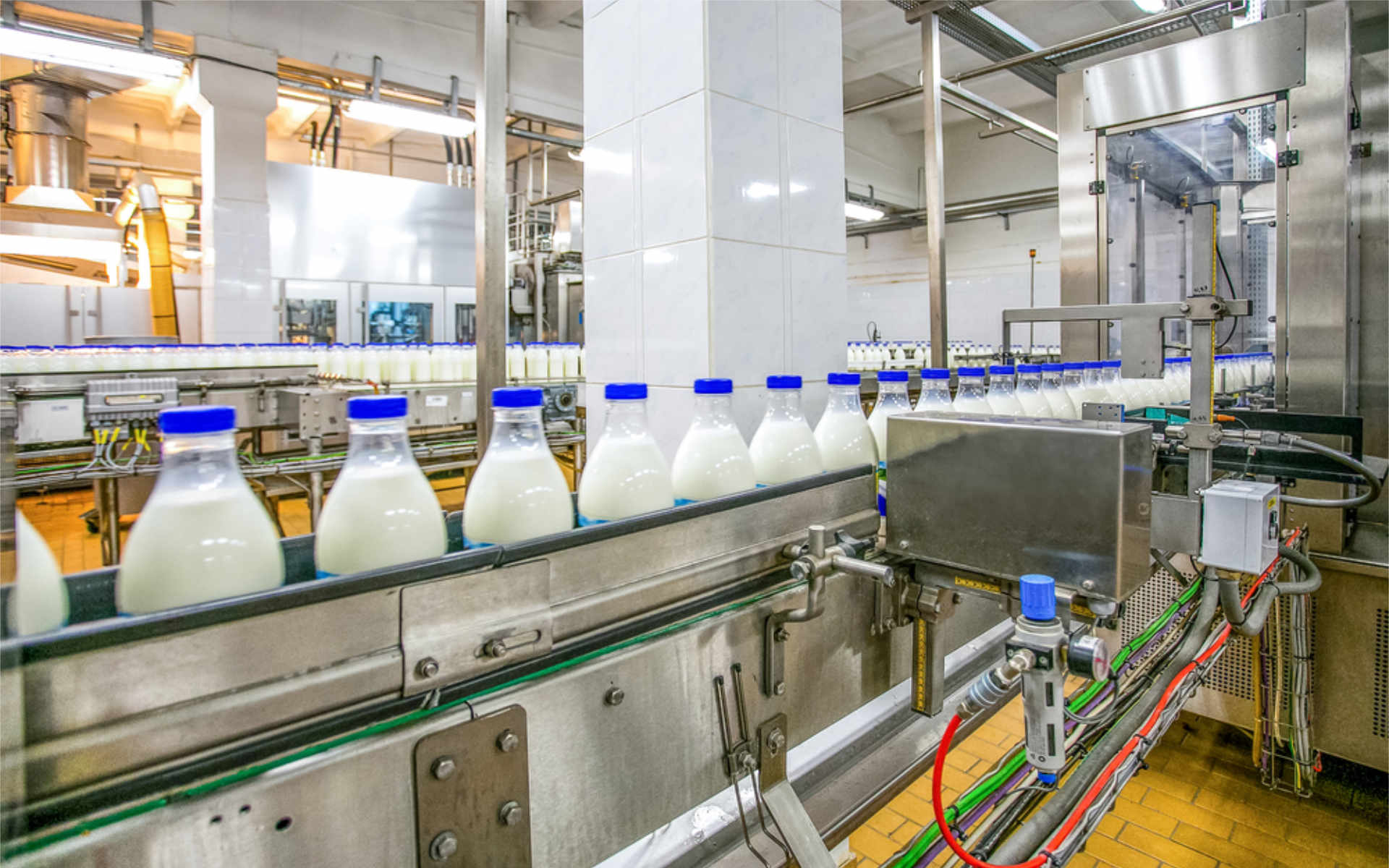 Modrá v mlékárenství